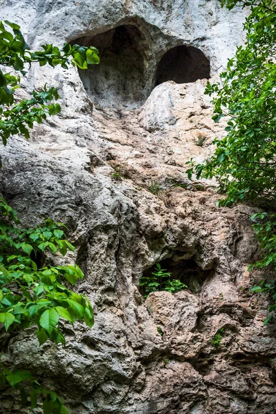 Зблизька Скелі Печерами Каньйоні Національного Природного Парку Дністер Тернопільська Область — стокове фото