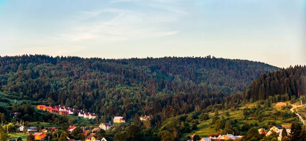 Eine Vielzahl Von Ferienhäusern Den Ukrainischen Karpaten Fichtenwald Skole Beskids — Stockfoto