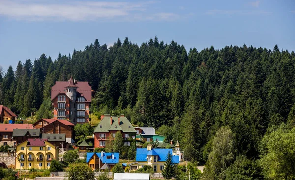 Some Cottages Valley Spruse Forest Carpathians Lviv Region Ukraine — Stock Photo, Image
