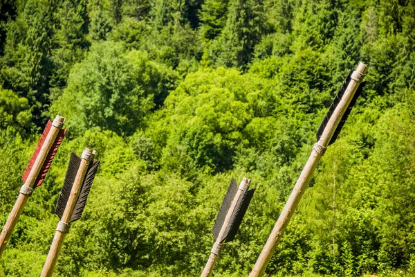 Großaufnahme Eines Großen Holzpfeils Historischen Park — Stockfoto