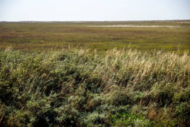 Doğu Syvash 'ın panoramik manzarası, Arap salyası, Ukrayna, Kherson bölgesi