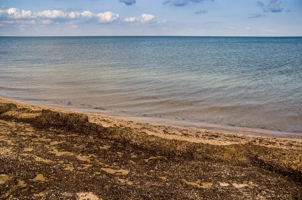 Paisaje Playa Del Mar Azov Con Sucio Orilla Las Algas — Foto de Stock