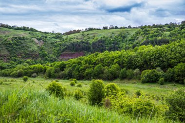 Ukrayna 'nın Ternopil bölgesinde bir orman ve vadi manzarası