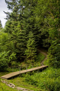 Ukrayna 'nın Lviv bölgesindeki Skole Beskids Ulusal Doğa Parkı' nda küçük tahta bir köprü ve ormana çıkan beton merdivenler.