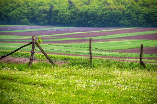 Mezőgazdasági Táj Tavaszi Szántóföldi Zöld Rét Ukrán Faluban — Stock Fotó