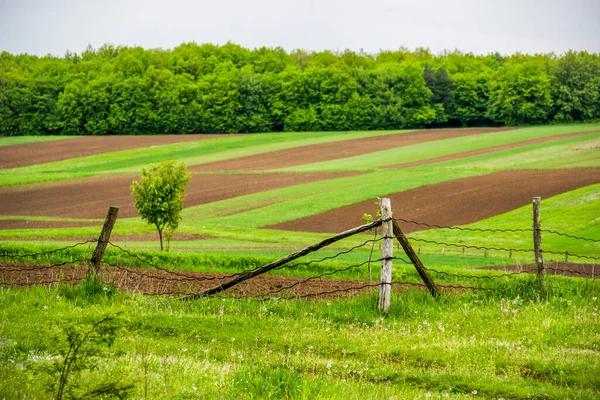 Rolniczy Krajobraz Wiosennej Zielonej Łąki Ukraińskiej Wsi — Zdjęcie stockowe