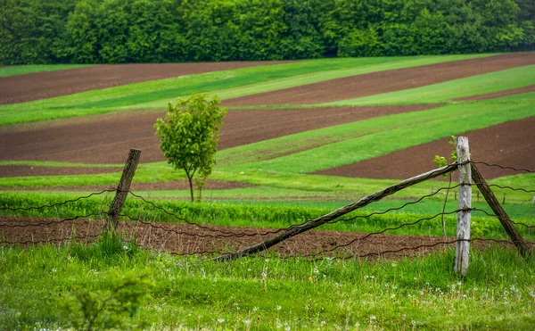 Mezőgazdasági Táj Tavaszi Szántóföldi Zöld Rét Ukrán Faluban — Stock Fotó