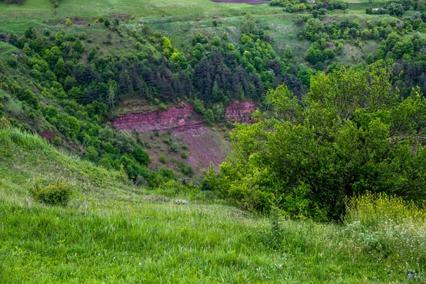 Une Forêt Sur Les Collines Paysage Ravin Dans Région Ternopil — Photo