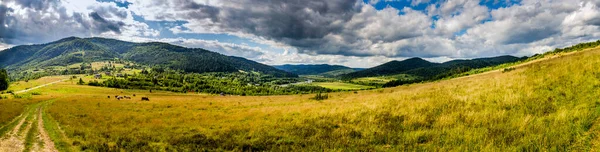 乌克兰利沃夫地区Skole Beskids国家自然公园喀尔巴阡山脉的乡村风景 — 图库照片