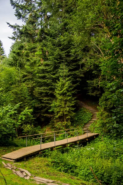 小さな木製の歩道橋と森までの具体的なはしご Skole Beskids国立自然公園 ウクライナのリヴィウ地域 — ストック写真