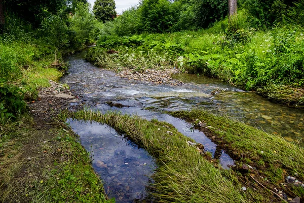 Une Petite Rivière Rapide Avec Beaucoup Herbe Plantes Sur Les — Photo