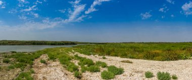 Tuna deltasının panoramik bir manzarası, Odessa bölgesi, Ukrayna