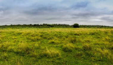 Geniş yeşil çimlerin panoramik manzarası