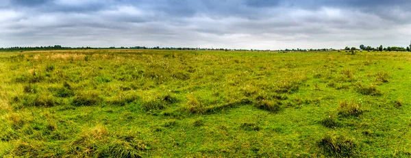 Panoramiczny Widok Dużą Szeroką Łąkę Zielonej Trawy — Zdjęcie stockowe