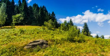Ormanda farklı insanların isimlerinin yazılı olduğu büyük bir taş.