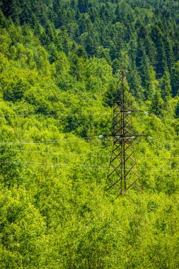 Ormanda elektrik kabloları olan büyük demir direğin yakın çekimi.