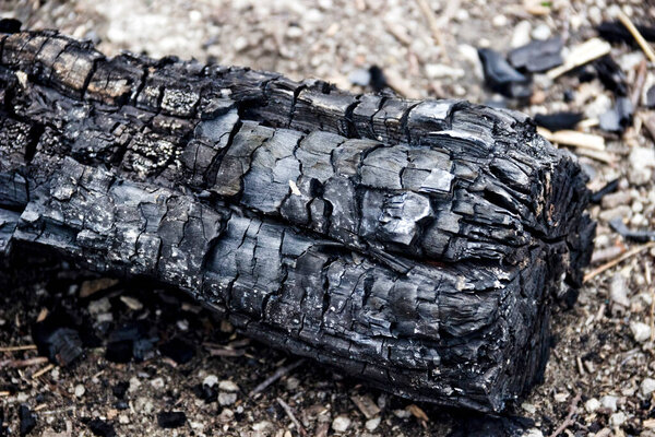 крупным планом черного сгоревшего бревна от пожара