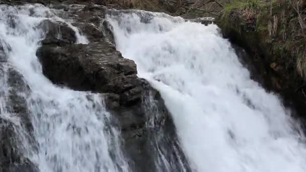 Hurkalo Waterfall Carpathian Forest Skole Beskids National Nature Park Ukraine — Wideo stockowe