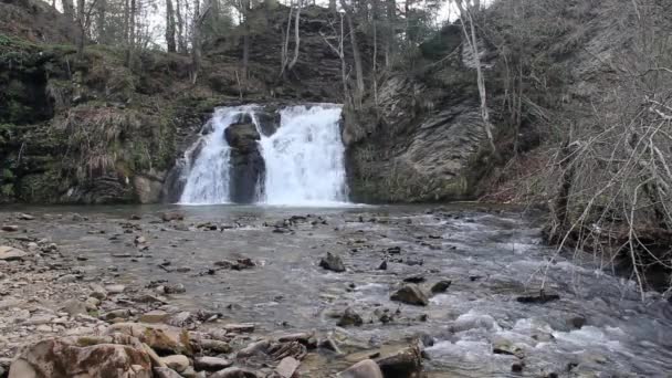 Hurkalo Waterfall Carpathian Forest Skole Beskids National Nature Park Ukraine — Wideo stockowe