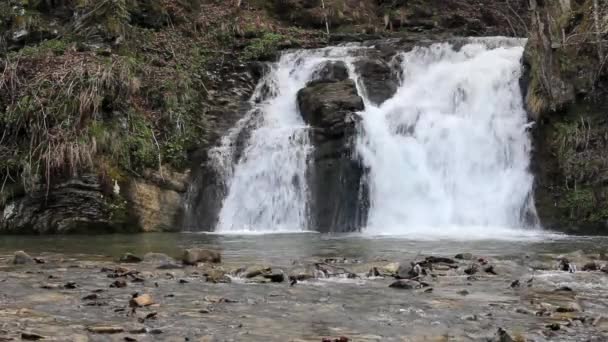 Cachoeira Hurkalo Floresta Dos Cárpatos Skole Beskids National Nature Park — Vídeo de Stock