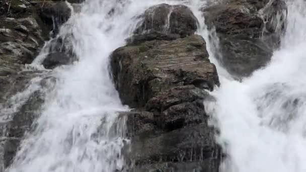 Hurkalo Waterfall Carpathian Forest Skole Beskids National Nature Park Ukraine — Wideo stockowe