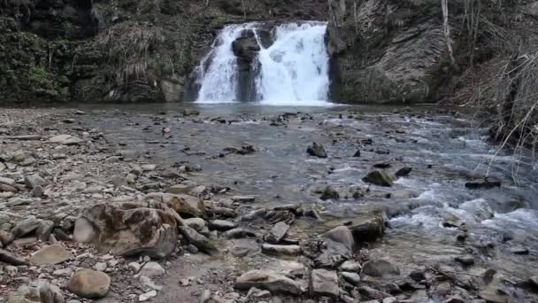 Hurkalo Waterfall Carpathian Forest Skole Beskids National Nature Park Ukraine — Wideo stockowe