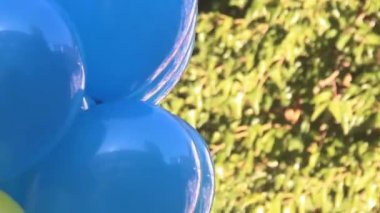 a many blue and yellow balloons on school feast in Ukraine