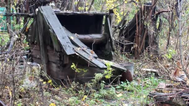 Close Old Abandoned Draw Well Rain Ukrainian Village — Stock videók