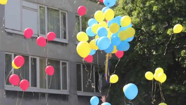 Many Blue Yellow Helium Balloons Flying Sky School Feast Ukraine — ストック動画