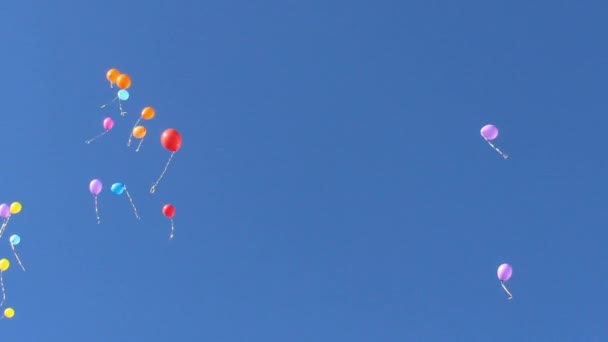 Een Groot Aantal Blauwe Gele Helium Ballonnen Vliegen Lucht School — Stockvideo
