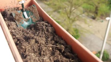 Araziyi çiçek dikmek için balkonda bir çömleğin içinde hazırlama sürecine yakın plan.