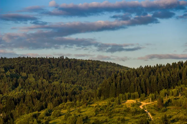 Wijd Uitzicht Sparren Karpaten Bos Wolken Skole Beskids National Nature — Stockfoto