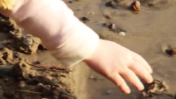 Hand Little Girl Playing Sand River Beach — Video