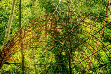abandoned rusty iron construction of circle roof in the forest