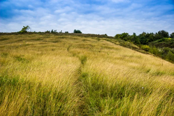 Panoramiczny Widok Dużą Szeroką Łąkę Zielonej Trawy — Zdjęcie stockowe