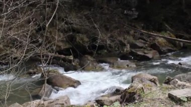 healing source of mineral water on the river Kamianka in the Carpathians, Skole Beskids National Nature Park, Lviv region of Ukraine. Texts translated from ukrainians as 'living water'