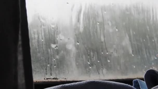 Close Raindrops Dirty Train Window While Moving — Video Stock