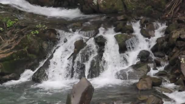 Small Waterfall Carpathian Forest Skole Beskids National Nature Park Lviv — Stockvideo