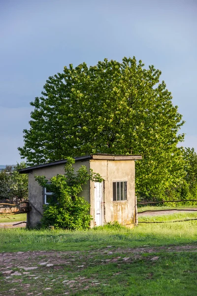 Small Barn Tree Wooden Fence Edge Ukrainian Village — ストック写真