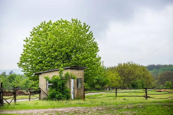 Small Barn Tree Wooden Fence Edge Ukrainian Village — ストック写真