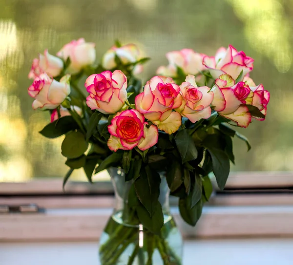 Close Small Pink Roses Bouquet — Stok Foto