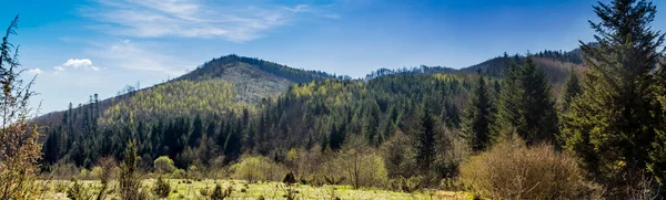 Karpat Dağlarının Panoramik Manzarası Ulusal Park Skolivski Beskidy Batı Ukrayna — Stok fotoğraf