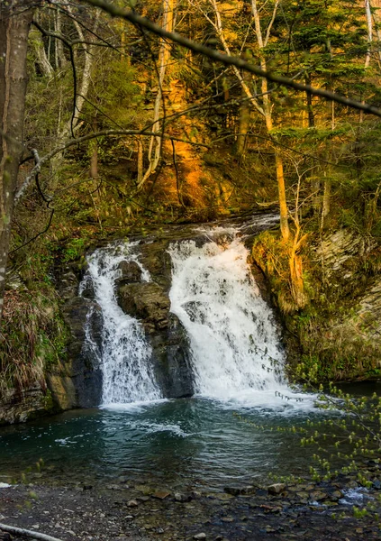 Vista Cachoeira Hurkalo Floresta Dos Cárpatos Parque Nacional Skolivski Beskidy — Fotografia de Stock