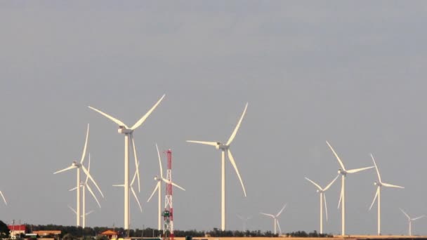 電力生産のための風車 ウクライナのアゾフ海のBotievo風力発電所 — ストック動画