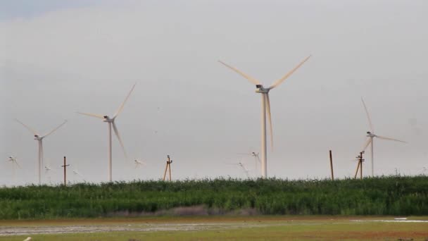 Větrné Mlýny Pro Výrobu Elektrické Energie Botievo Větrná Farma Azovském — Stock video