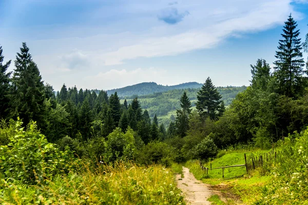 Eine Ländliche Landschaft Den Karpaten Skole Beskiden National Nature Park — Stockfoto