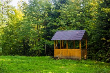 Ormanda dinlenmek için bir ahşap çardak.