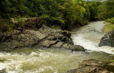 Sheshory köyü, Hutsulshchyna Ulusal Parkı, Ivano-Frankivsk bölgesi, Ukrayna 'daki Karpatya nehri üzerinde bir Guk Velykyi (Büyük Guk) şelalesi