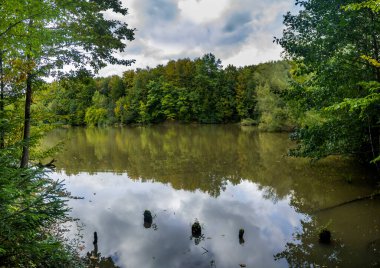 Karpat dağ ormanlarında göl, Hutsulshchyna Milli Parkı, Ivano-Frankivsk bölgesi, Ukrayna