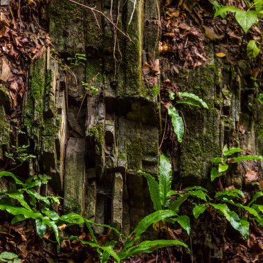 pürüzlü bir kayanın yakın çekim dokusu